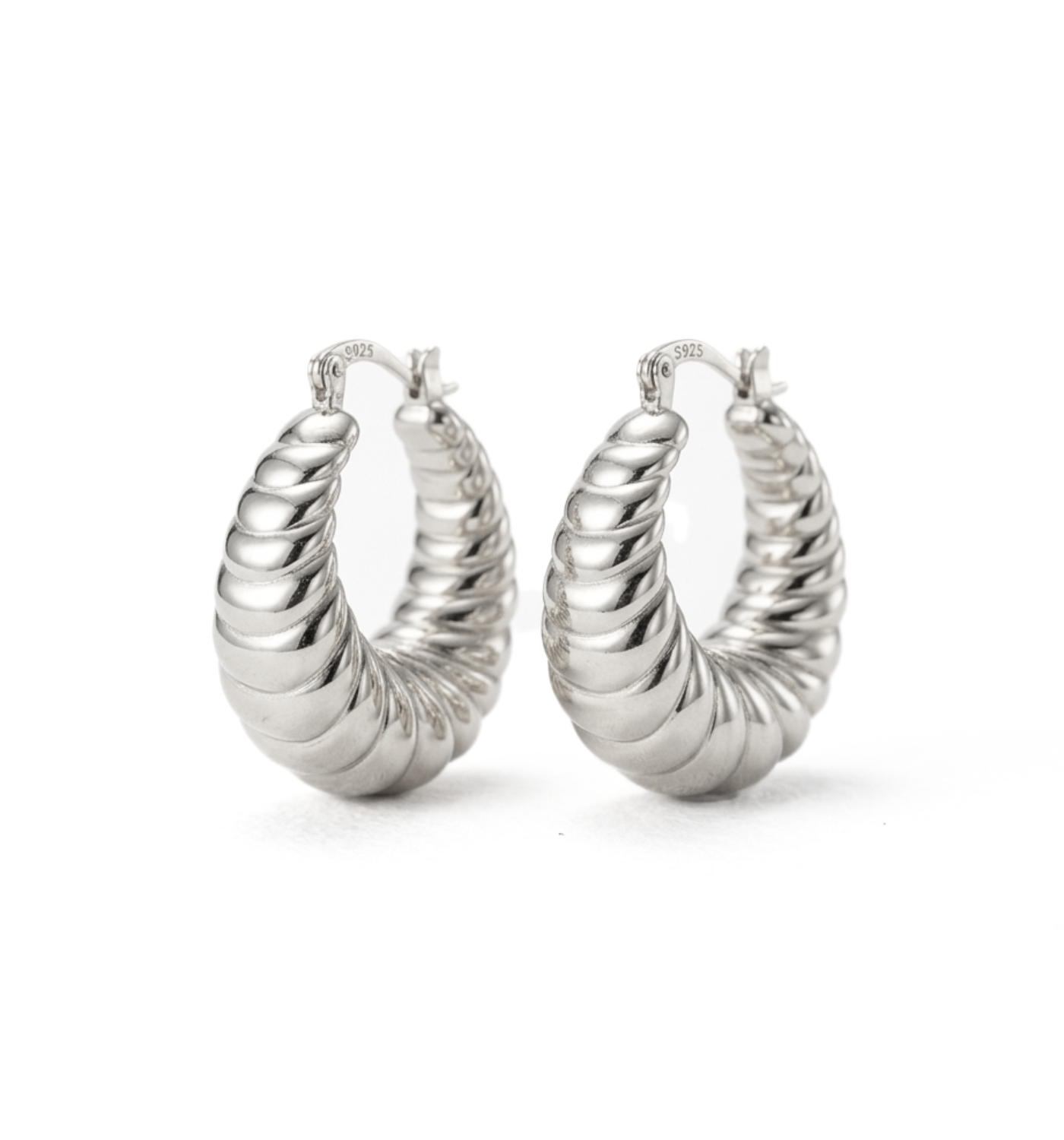 Vice Silver Earrings
